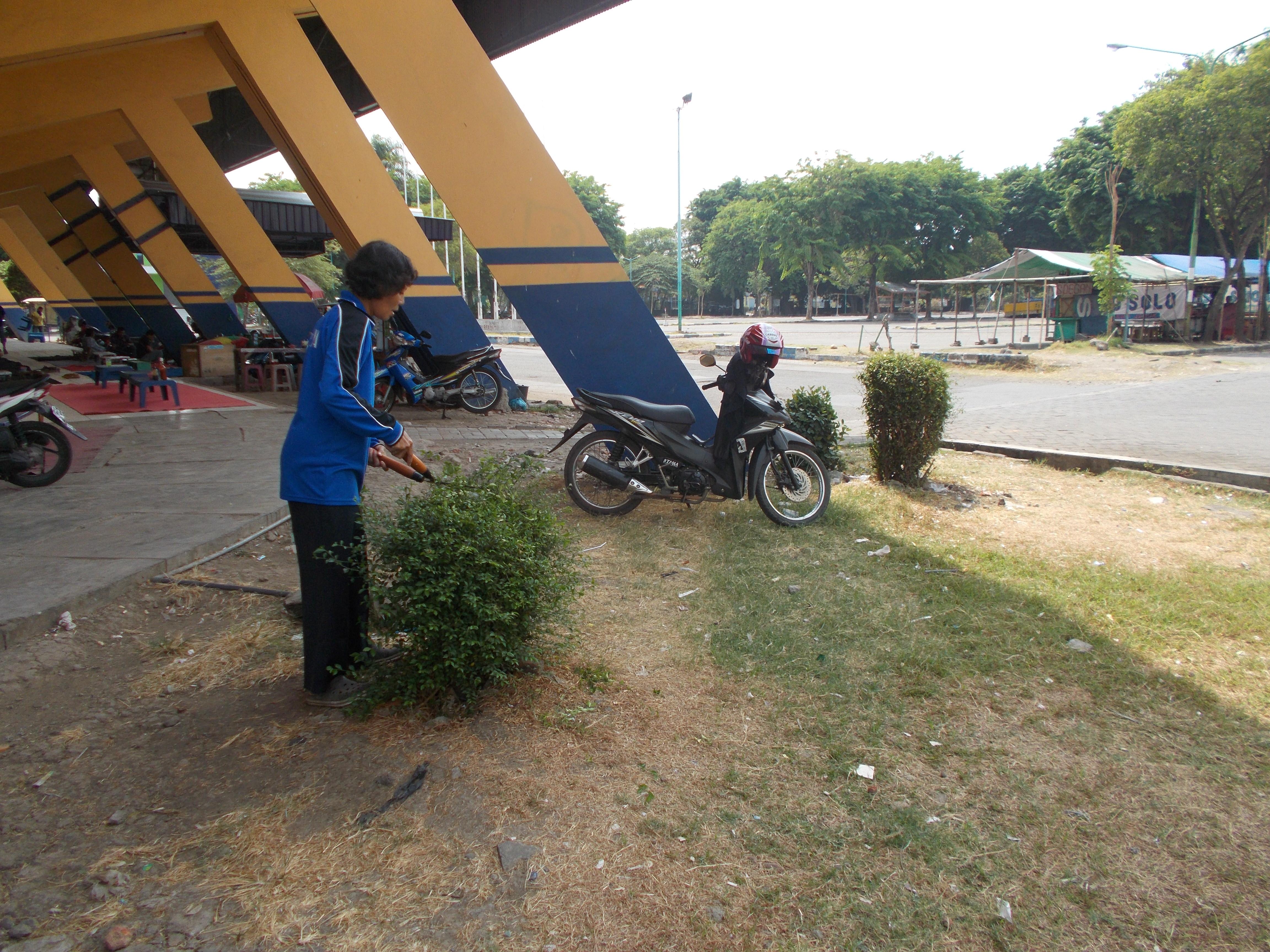 Landscaping & Gardening